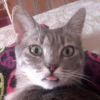 Luis