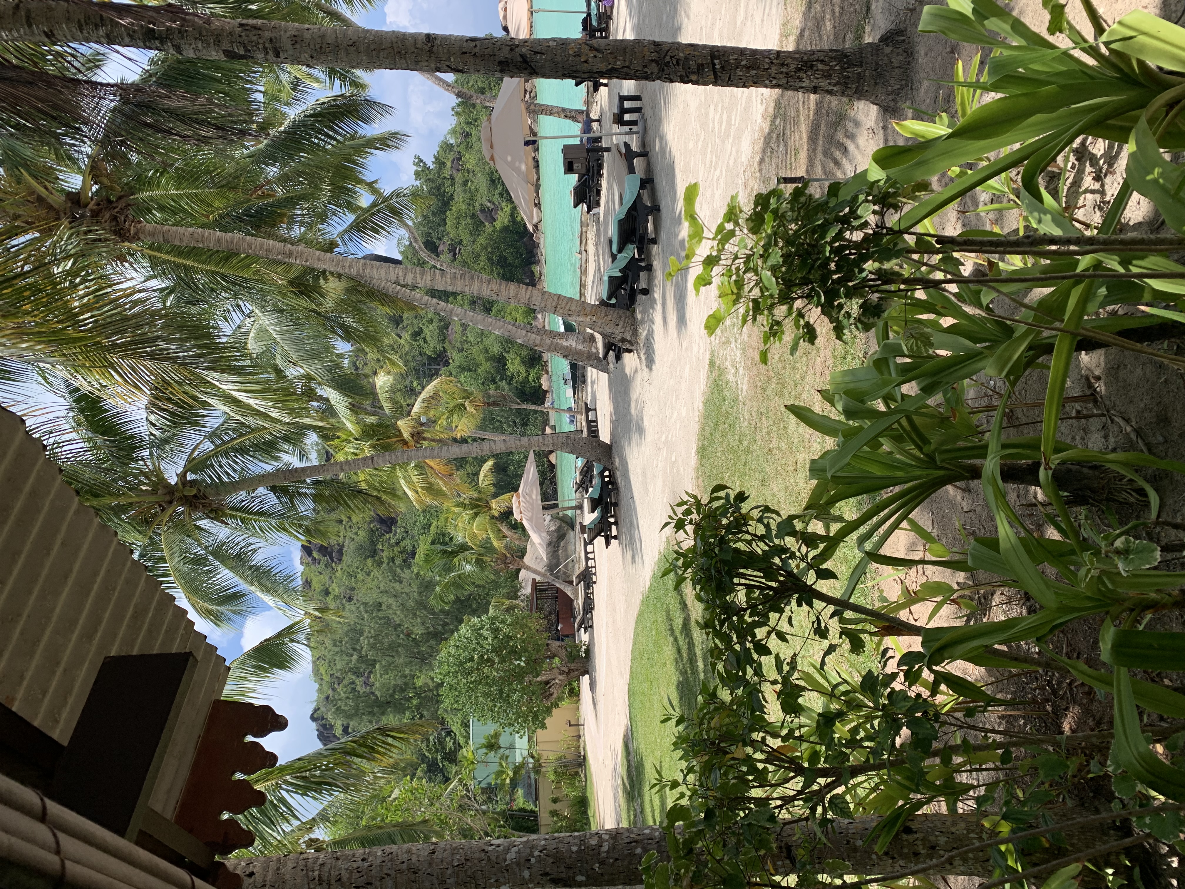 IMG_2048.jpeg